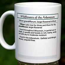 mug trillium 8137.jpg